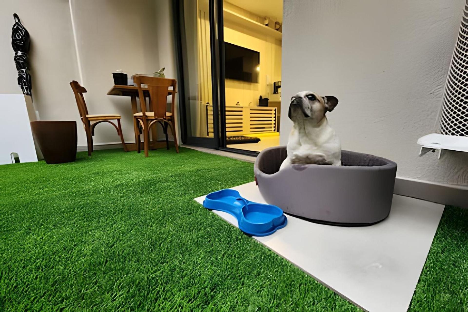 Apartamento Buarque - Garden + Pet Friendly São Paulo